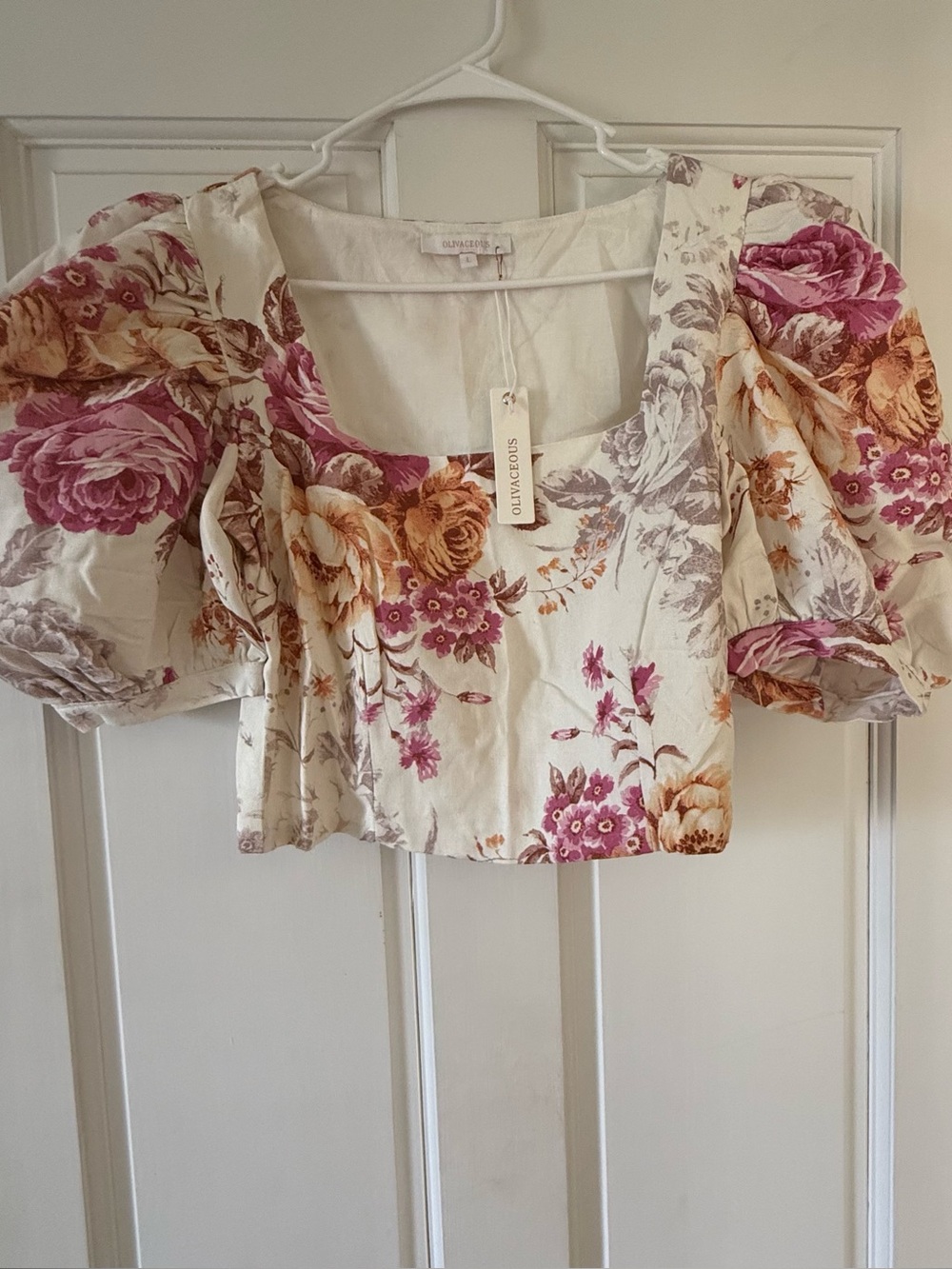 Olivaceous Floral Puff-Sleeve Crop Top in Cream and Pink